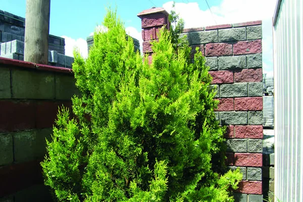 Sumbas Osmaniye Beton Parke Üretimi